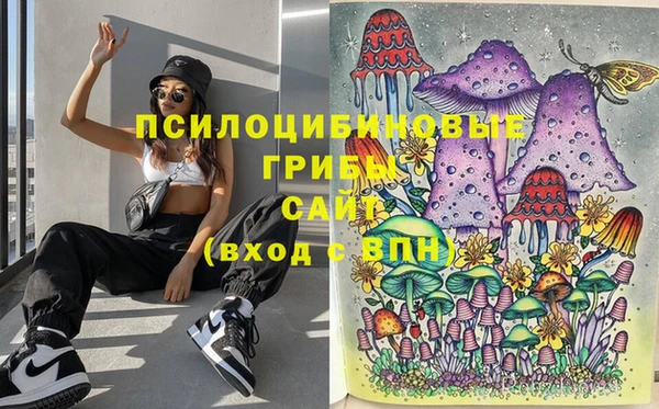 первитин Абинск