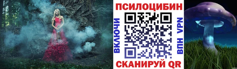 Псилоцибиновые грибы Psilocybe где можно купить наркотик Новое Девяткино