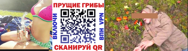Галлюциногенные грибы Magic Shrooms Новое Девяткино